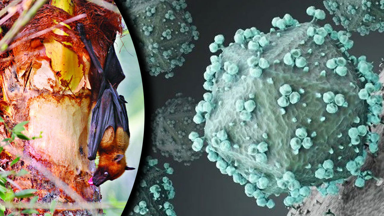 চিকিৎসা বিজ্ঞানে বাংলাদেশের জন্য একটি গৌরবজনক সাফল্য অর্জিত হয়েছে।