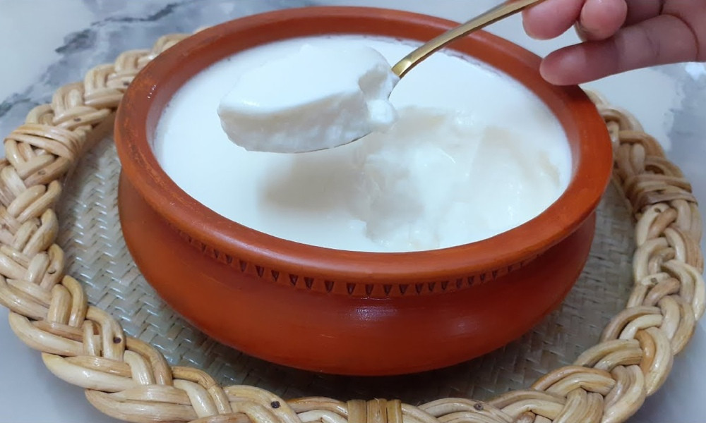 পেটের জন্য দইয়ের উপকারিতা