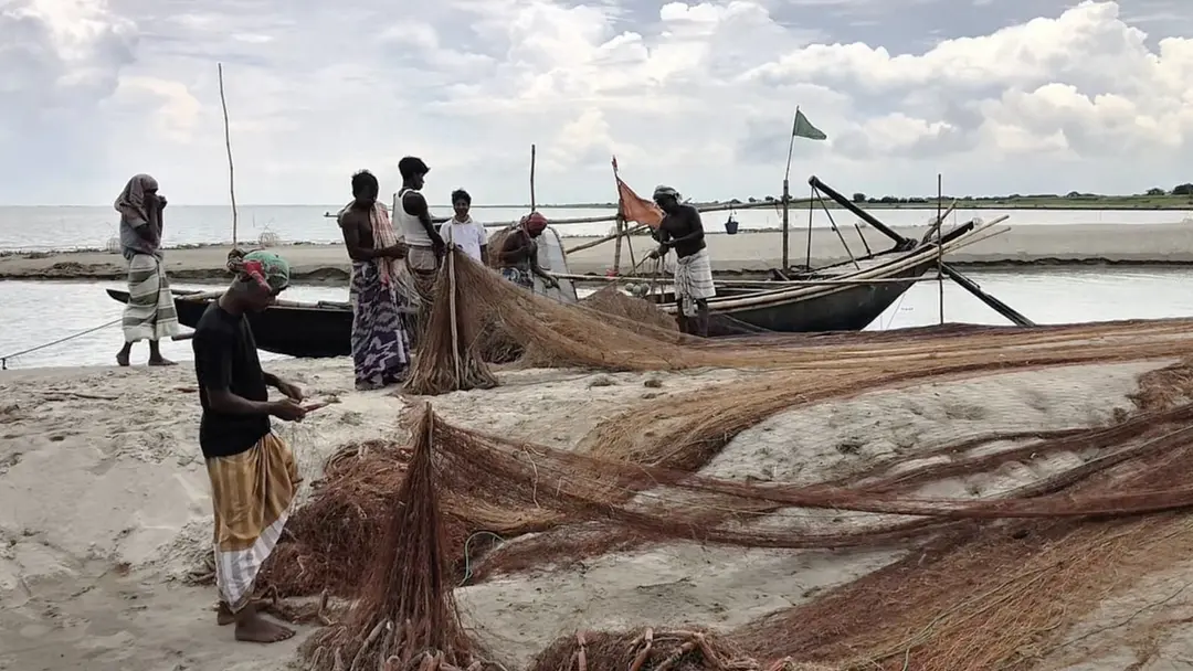 ৮ অক্টোবর থেকে রাজবাড়ীতে ২২ দিনের মা ইলিশ সংরক্ষণ অভিযান, দুশ্চিন্তায় জেলেরা